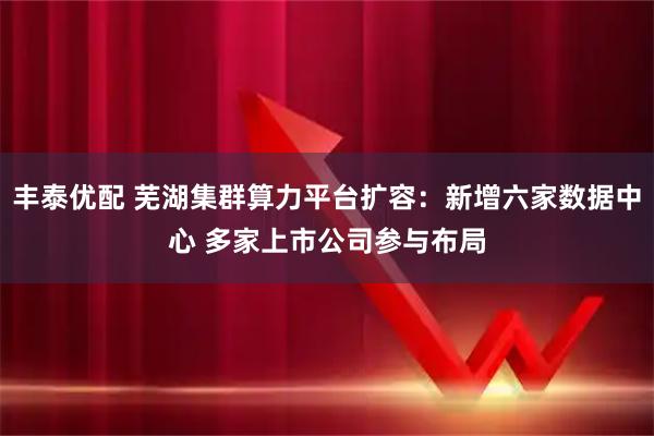 丰泰优配 芜湖集群算力平台扩容：新增六家数据中心 多家上市公司参与布局