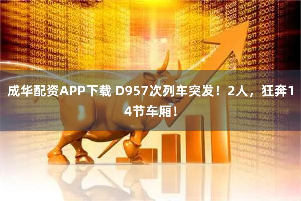 成华配资APP下载 D957次列车突发！2人，狂奔14节车厢！