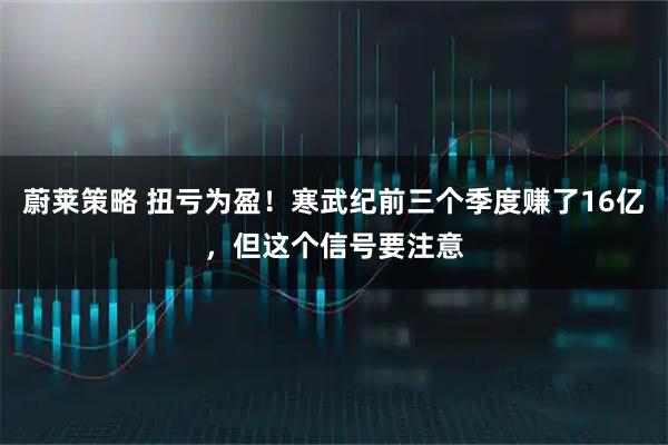 蔚莱策略 扭亏为盈！寒武纪前三个季度赚了16亿，但这个信号要注意