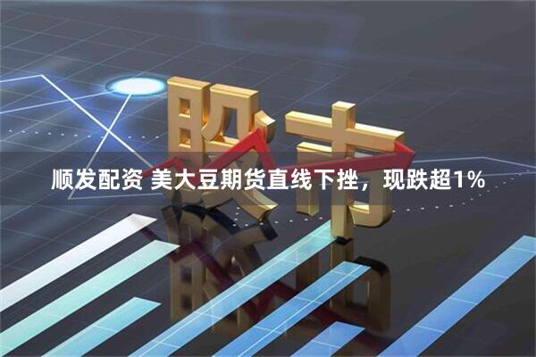 顺发配资 美大豆期货直线下挫，现跌超1%